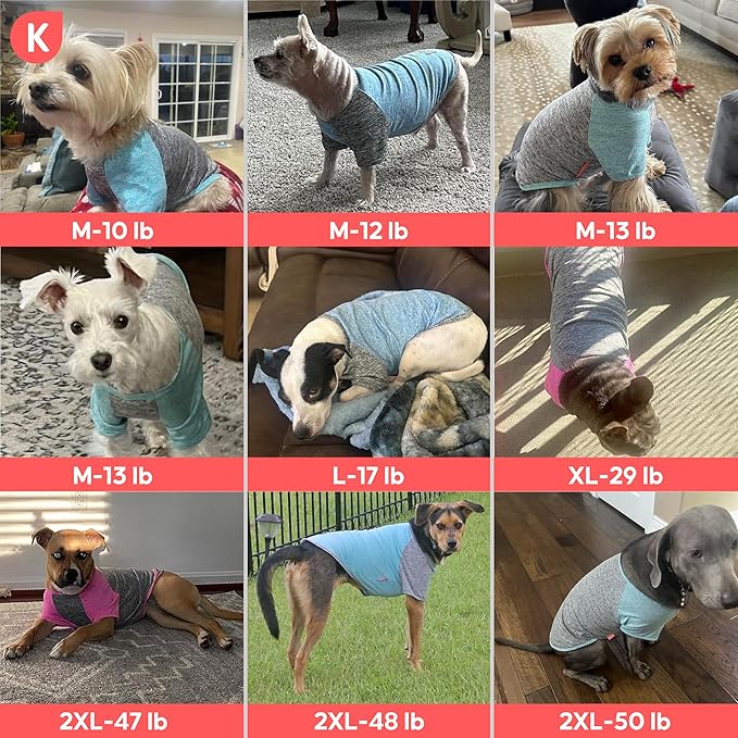 KYEESE 2Pack Dog Shirt with Sleeves, Lightweight Sun Protection Dog T Shirts for Small Dogs, Breathable Pet Tank Top Reflective Dogs Clothes for Summer Outdoor Walking, Coral Red+Grey, M