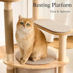797Audio Modern Wood Cat Tree Tower, 46" Aesthetic Cat Tree with Natural Pine Wood Scratching Posts and Condo for Adult Cats, Solid Rubber Wooden & Linen Cat Tree,Multi-Level Tree for Indoor Cat