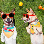 Frienda 20 Pcs Summer Spring Dog Bandanas Hawaiian Style Washable Triangle Pet Bibs Assortment Puppy Kerchief Accessories for Small Medium Pets Dogs Cats(Large)