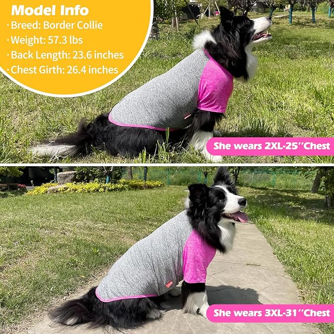 KYEESE 2Pack Dog Shirt with Sleeves, Lightweight Sun Protection Dog T Shirts for Medium Large Dogs Girl, Breathable Pet Tank Top Reflective Dogs Clothes for Summer Outdoor Walking, Rose+Grey, 2XL