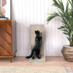 WAY BASICS Cat Scratching Post Standing Scratcher Scratch Pad (Tool-Free Assembly)
