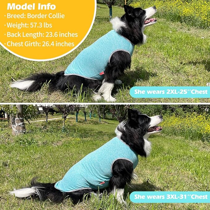 KYEESE 2 Pack Dog Shirts for Large Dogs Quick Dry Breathable Stretchy Sun Protection Dog T-Shirts with Reflective Label Tank Top Sleeveless Vest Dogs Clothes, Grey+Blue, 3XL