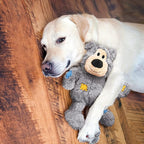 KONG Wild Knots Bears - Durable Dog Toys with Internal Knotted Ropes and Minimal Stuffing for Less Mess (Assorted Colors) (Medium/Large)