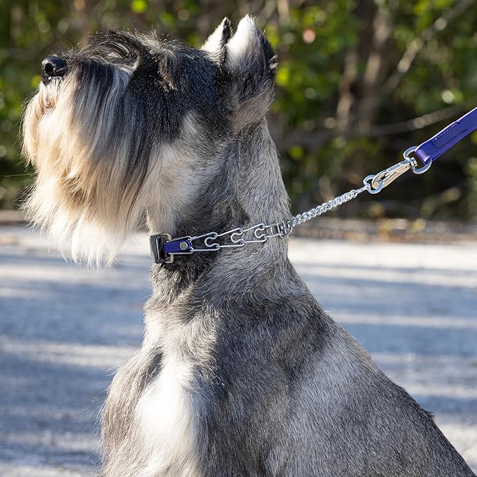 Herm Sprenger Chrome Plated Steel Dog Collar with Quick Release ClicLock Buckle and Biothane Insert Training Collar for Dogs Made in Germany (Blueberry Royal, 16in x 2.25mm(Neck Size up to 13-14in))