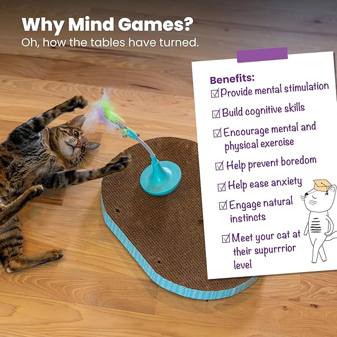 Catstages Feather Spring Toy Tease for Corrugate Cat Scratcher, Interactive Play, Blue