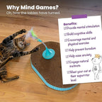 Catstages Feather Spring Toy Tease for Corrugate Cat Scratcher, Interactive Play, Blue