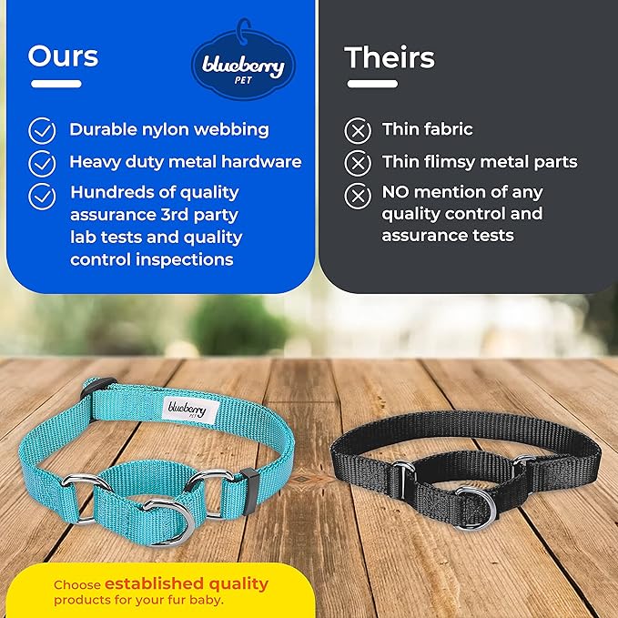 Blueberry Pet Essentials Martingale Safety Training Dog Collar, Highlighter Yellow, Medium, Heavy Duty Nylon Adjustable Collars for Dogs