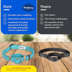 Blueberry Pet Essentials Martingale Safety Training Dog Collar, Royal Blue, Small, Heavy Duty Nylon Adjustable Collars for Dogs