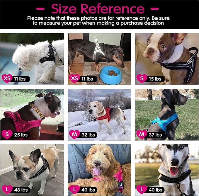 Didog No Pull Dog Harness with Breathable Mesh Padded, Full Reflective & Quick Fit Adjustable Vest Harness, Easy for Training Walking for Small & Medium and Large Dogs (Blue, S:Chest 18-22")