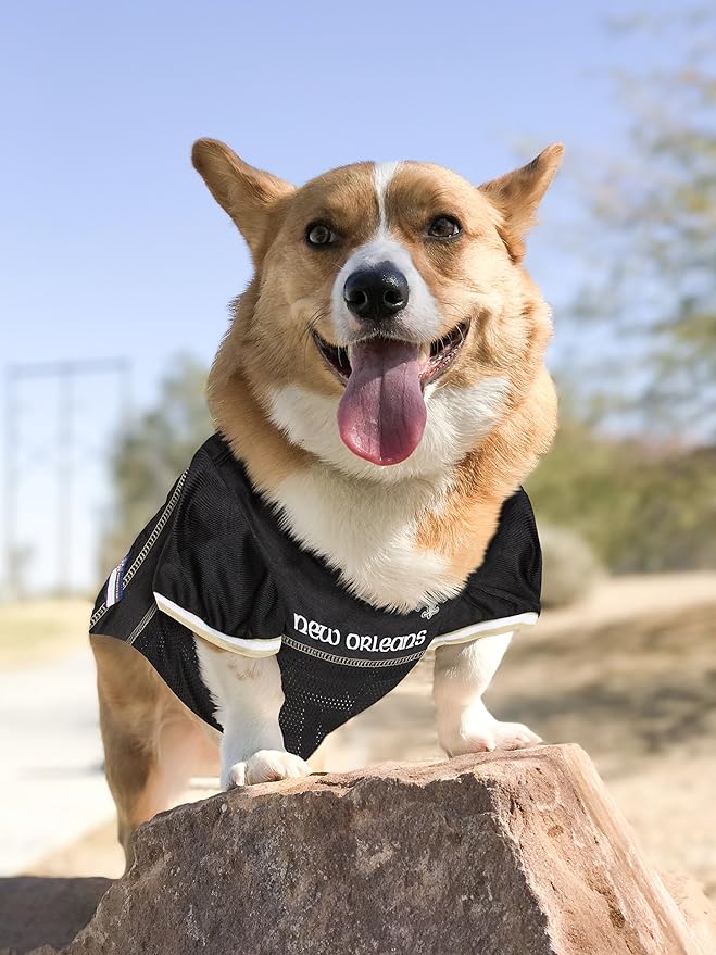 Pets First NFL Pets NFL Jerseys