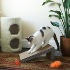 iPrimio Cat Scratch Ramps (2 Ramps for One Price) - Foldable for Travel and Easy Storage - Great for Cats Playing Over, Laying, and Scratching - Patent Pending Design (2 Pack)