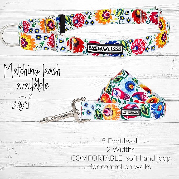 Lucky Love Dog Martingale Dog Collar - Adjustable, No-Slip, Durable, & Soft Webbing Collar for Male and Female Dogs Ideal for Training & Walking - Ladybird, Small