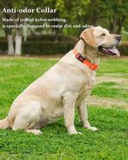 Waterproof Martingale Collar for Dogs,Easy to Clean Dog Collars with Safety Quick Release Buckle,Rubber Collar for Medium Large Dogs Walking Training (Orange, S (13.4-16.5inch))