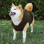 Tuff Pupper Fleece Dog Hoodie Sweater | Teddy Sherpa Outer & Soft Polar Fleece Lining | Adjustable Fit Winter Coat with Hood, Leash Hole, Ribbed Cuffs | for Small Medium Large XL XXL Dogs (Olive, M)
