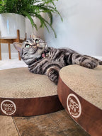 Necoichi Cat Scratcher Bowl Replacement for Indoor Cats - Cat Scratching Lounger with Reversible Usability and Extra Comfort for Lounge, Cardboard Bed Couch / (XL, Dark Cherry)