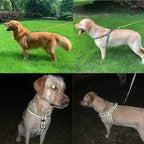 Dog Harness, No Pull, Reflective, Adjustable, Medium, Blue, L