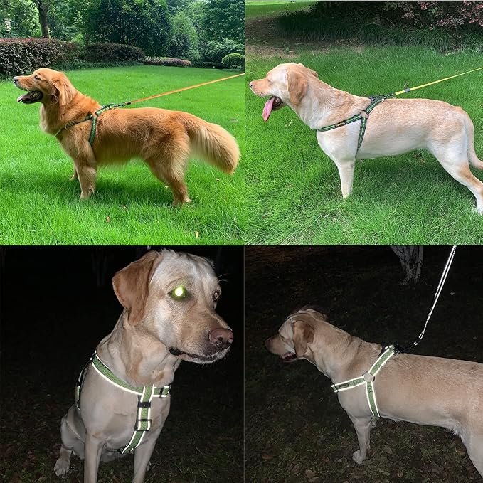 No Pull Dog Harness with Reflective Adjustable,Stops Pets from Pulling and Choking On Walks for Medium Dogs, (Green, L)