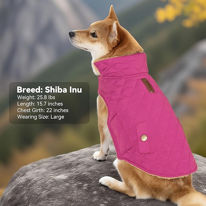 Dog Winter Coat, Waterproof Warm Dog Jackets for Large Dogs Boy, Adjustable Pet Vest Windproof Cold Weather Clothes Dogs Snowsuit with Leash Hole, Rose Red XX-Large