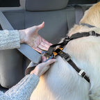 Kurgo Enhanced Strength Tru-Fit Dog Car Harness - Pet Travel Safety Harness - Crash Test Certified Fit - Five Point Adjustment - Secure Buckle - Padded Chest - Black - Small