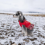 CuteBone Christmas Dog Sweater Dress Turtleneck Puppy Sweater with Bowtie Leash Hole Pullover Winter Dress for Small Dogs