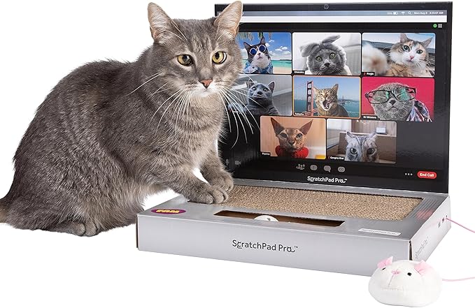 ScratchPad Pro — Cardboard Laptop Cat Scratcher, Interactive Cat Toys for Indoor Cats, Kitten Supplies and Cat Stuff by Relatable