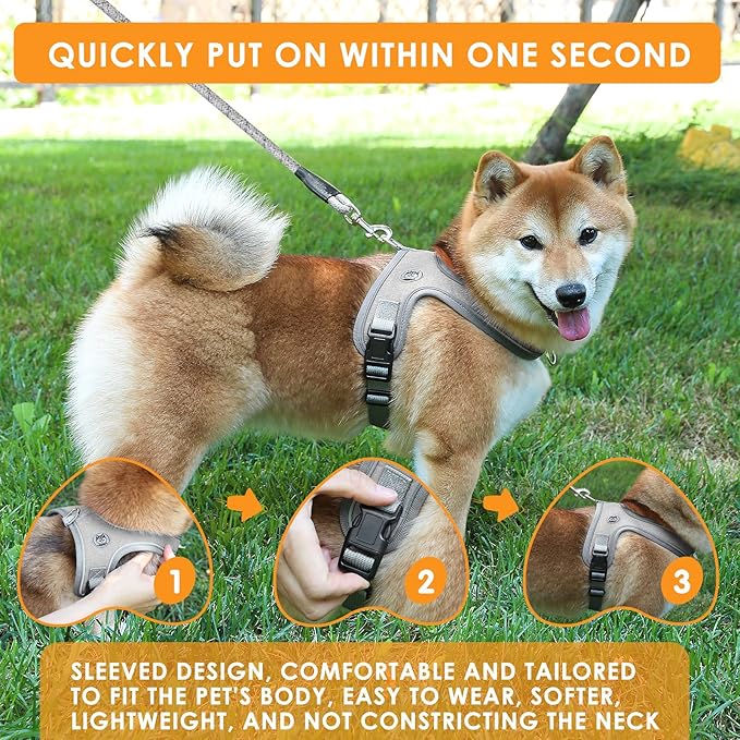 Dog Harness and Leash Set, No Pull Saddle Style Pet Harness, Breathable Mesh Adjustable Reflective Dog Vest for Dogs and Cat Medium Small Harness 2 D-Rings (Grey, L)