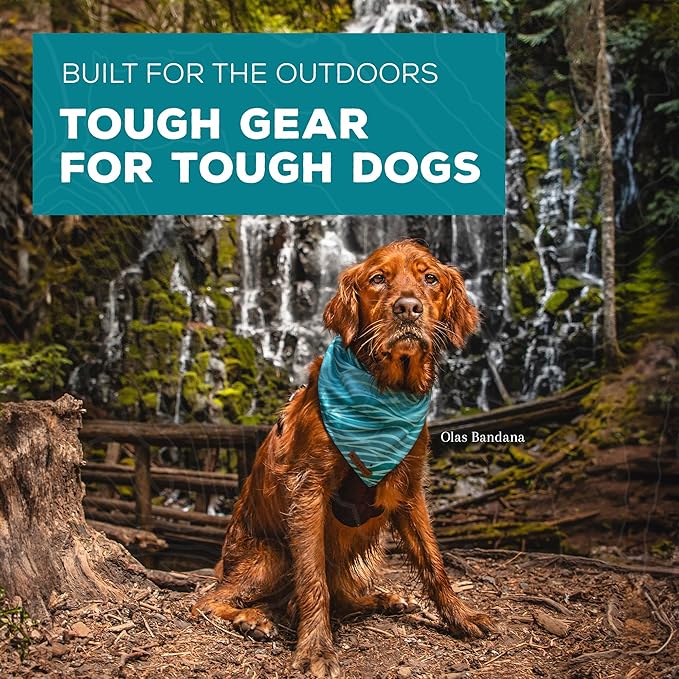 Wilderdog Dog Bandana with Lightweight Quick Drying Poly-Blend Mesh Material in Tiedye