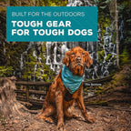 Wilderdog Dog Bandana with Lightweight Quick Drying Poly-Blend Mesh Material in Autumn Air