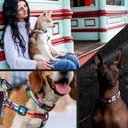 Wolfgang Heavy Duty Martingale Dog Collar with Quick Release Nylon Buckle for Walking & Training, Mixtape Print, Small