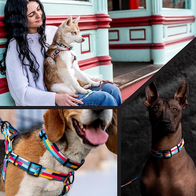 Wolfgang Heavy Duty Martingale Dog Collar with Quick Release Nylon Buckle for Walking & Training, Mixtape Print, Small