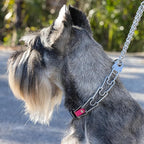 Herm Sprenger Chrome Plated Steel Dog Collar with Quick Release ClicLock Buckle and Biothane Insert Training Collar for Dogs Made in Germany (Passionfruit Pink, 23in x 3.2mm(Neck Size up to19-20in))