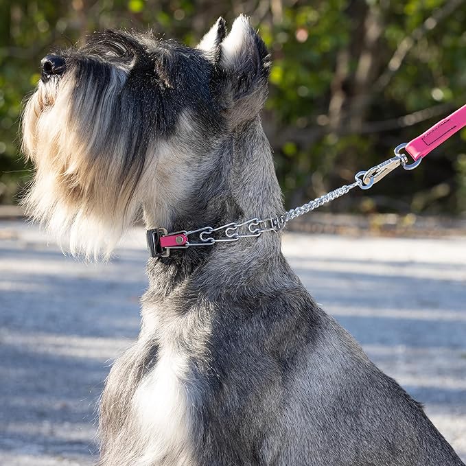 Herm Sprenger Chrome Plated Steel Dog Collar with Quick Release ClicLock Buckle and Biothane Insert Training Collar for Dogs Made in Germany (Passionfruit Pink, 16in x 2.25mm(neck size up to 13-14in))