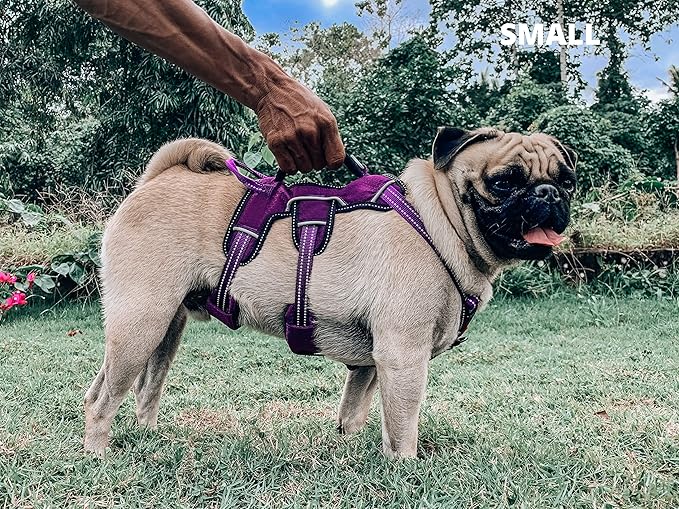 Tuff Pupper Escape Proof No Escape Dog Harness | 5 Point Adjustable Fit Harness for Dogs | Padded Dog Harnesses | Handle Dog Lift Harnesses