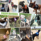 voopet Service Dog Harness, Emotional Support Pet Vest Harness, Reflective Breathable & Adjustable No Pull ESA Harness for Small Medium Large Dogs (with 4 PCS Removeable Tags),X Small (Pack of 1)