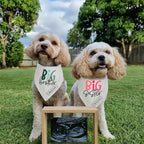 Realeaf Big Brother Dog Bandanas Pet Scarf for Large and Extra Large Dogs New Baby Announcement Pet Accessories Pregnancy Reveal Ideas (Big Brother, X-Large)