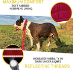 ADITYNA Heavy Duty Dog Collar for Extra-Large Dogs - Reflective Burgundy Collar with Handle for Training, and Walking - Wide, Thick, Tactical, Soft Neoprene Padded