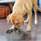 Outward Hound Fun Feeder Slo Bowl – Large 4‑Cup Capacity, Slow Feeding, Medium to Large Dogs, Non‑Slip, Gray, Drop Pattern