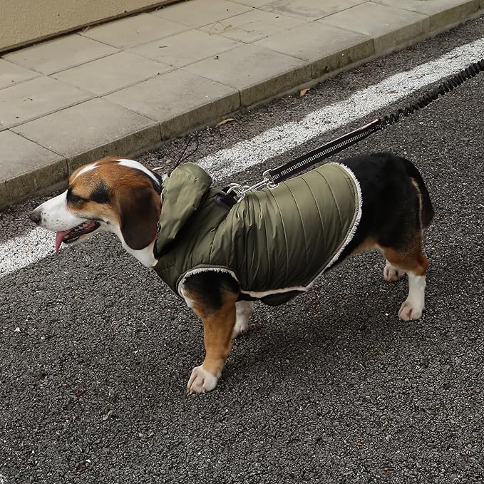 Fleece Lining Dog Hoodie with Harness Built in,Extra Warm Small Dog Jacket in Winter Puppy Coats with Drawstring Hooded,Green M