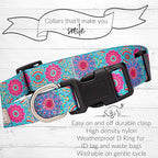 Lucky Love Dog, Boho Chic Matching Dog Collar and Leash Set, Vivid Pink and Turquoise Collar and Leash for Dogs, Soft, Adjustable, Safe for Training and Walking - (X-Small, Clara Combo)