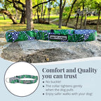Lucky Love Dog Martingale Collar, Premium No Slip Martingale Collar for Medium Boy Dogs, Great for Whippets, Greyhounds, and More (Medium, Blue Laguna)