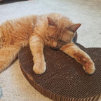Cat Scratcher by Americat – Made in USA Cardboard Scratching Pad & Lounger – X Large, 2-Sided, Heavy, No-Shedding, Long-Lasting (Cat)