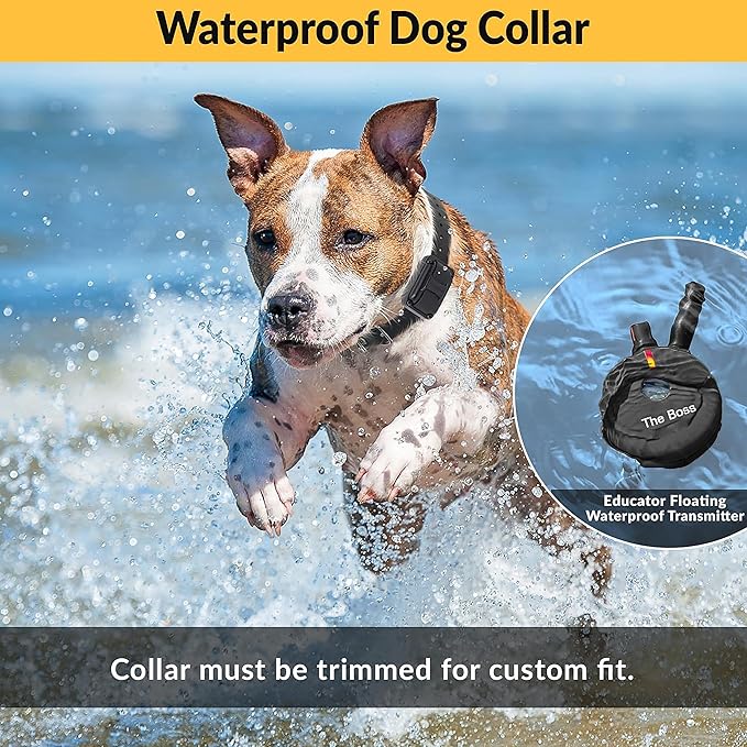 Educator ET-800 “The Boss” Dog Training E-Collar with Remote–1 Mile Range, 100 Levels Stimulation,Waterproof & Rechargeable–For Med & Lg Dogs 15 lbs+–Night Tracking Light, Expandable to 2 Dogs,Black