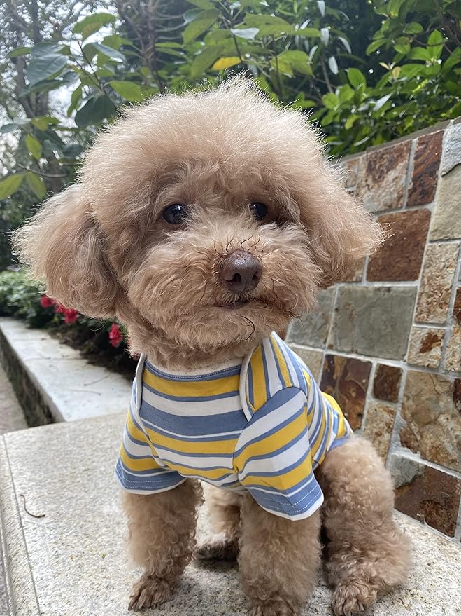 Dog Shirts Cotton Striped T-Shirt, Summer Pet Clothes for Small Dogs, 2-Pack Soft Puppy Apparel Cat Tee, Breathable Stretchy, Red Yellow XS