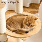 Modern Solid Wood Cat Tree Small Tower with Scratching Post for Indoor, Multifunctional Cat Tree Tower with Bed, Space Capsule, Hammock, Scratching Board, Dangling Ball