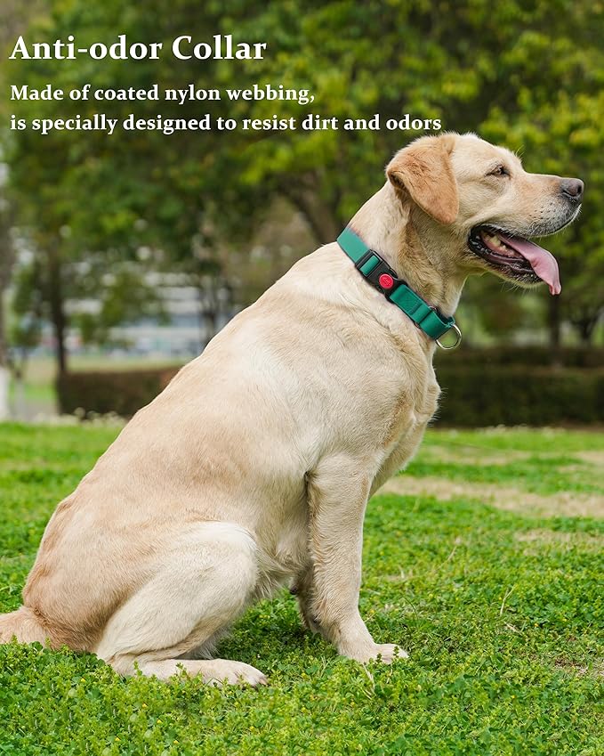 Waterproof Martingale Collar for Dogs,Easy to Clean Dog Collars with Safety Quick Release Buckle,Rubber Collar for Medium Large Dogs Walking Training (Emerald Green, S (13.4-16.5inch))
