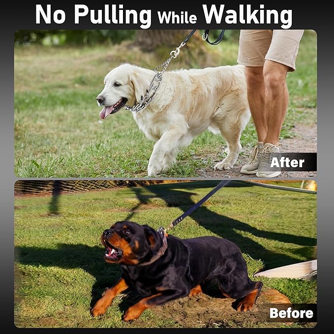 Dog Training Collar Adjustable Stainless Steel Collar with Quick Release Buckle for Small Medium Large Dog (S Girth 11.2"-14.5")