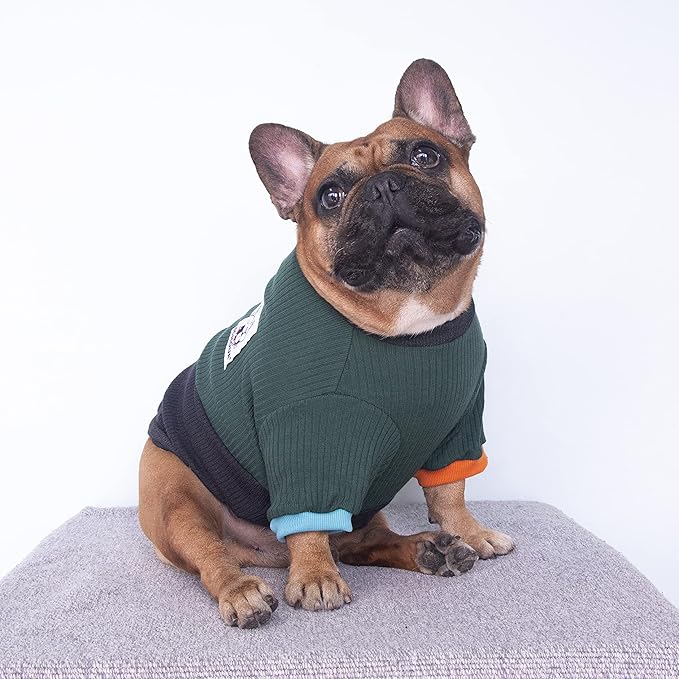 iChoue Pet Dog Crewneck Sweater Color Block Pullover Winter Warm Clothes for French Bulldog Frenchie Pug Puppy - Green and Black/Small