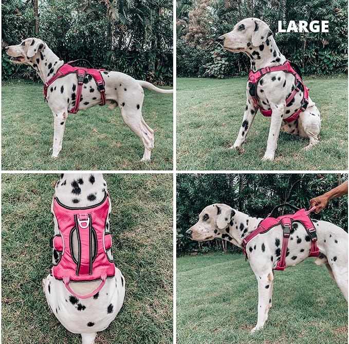 Tuff Pupper Escape Proof No Escape Dog Harness | 5 Point Adjustable Fit Harness for Dogs | Padded Dog Harnesses | Handle Dog Lift Harnesses