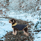 Queenmore Warm Dog Coat, Cold Weather Puffer Dog Jacket with Ultra Thick Plush Lining, Storage Pockets (Green, Small)