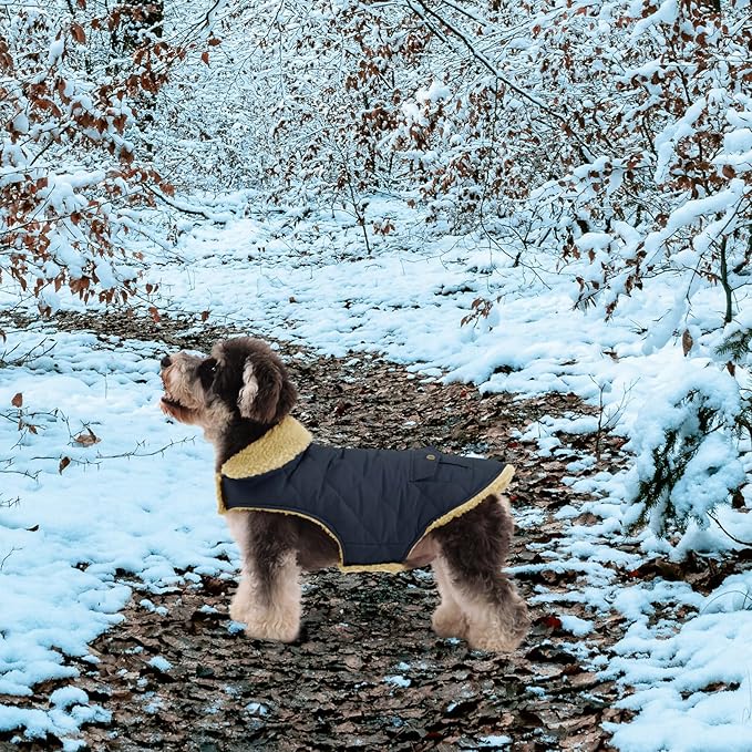 Queenmore Warm Dog Coat, Cold Weather Puffer Dog Jacket with Ultra Thick Plush Lining, Storage Pockets (Green, Small)